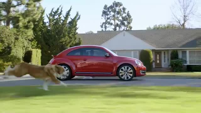Смях - Куче дебелак си мечтае да се дърпа с Vw