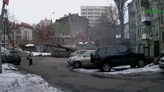 Жена оцелява на косъм след падане на дърво