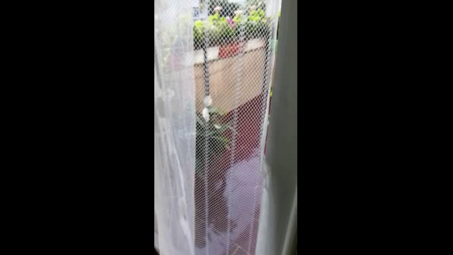 Шумно косене на трева в събота сутрин
