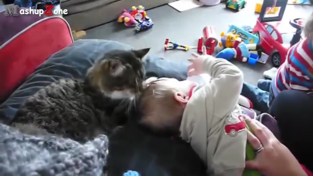 Котки, кучета и бебета - Компилация!