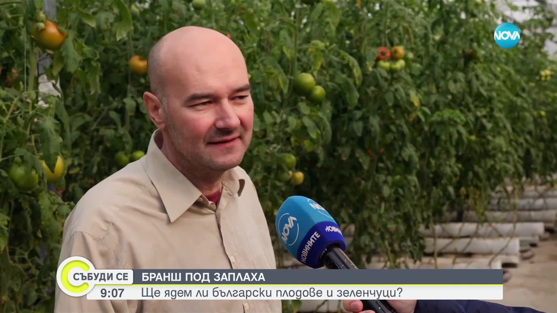 БРАНШ ПОД ЗАПЛАХА: Ще ядем ли български плодове и зеленчуци