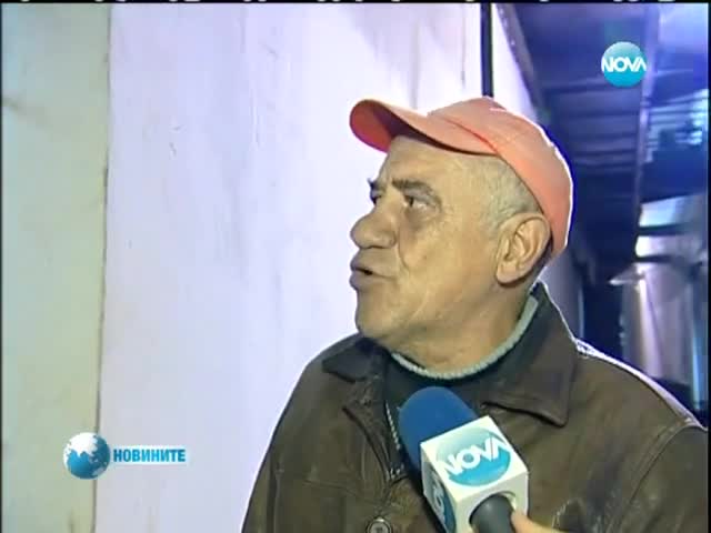Слоницата в софийския зоопарк разбира немски, обича да й правят педикюр
