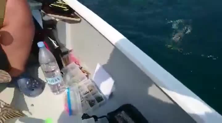 Такъв улов на риба е мечта на всеки рибар!