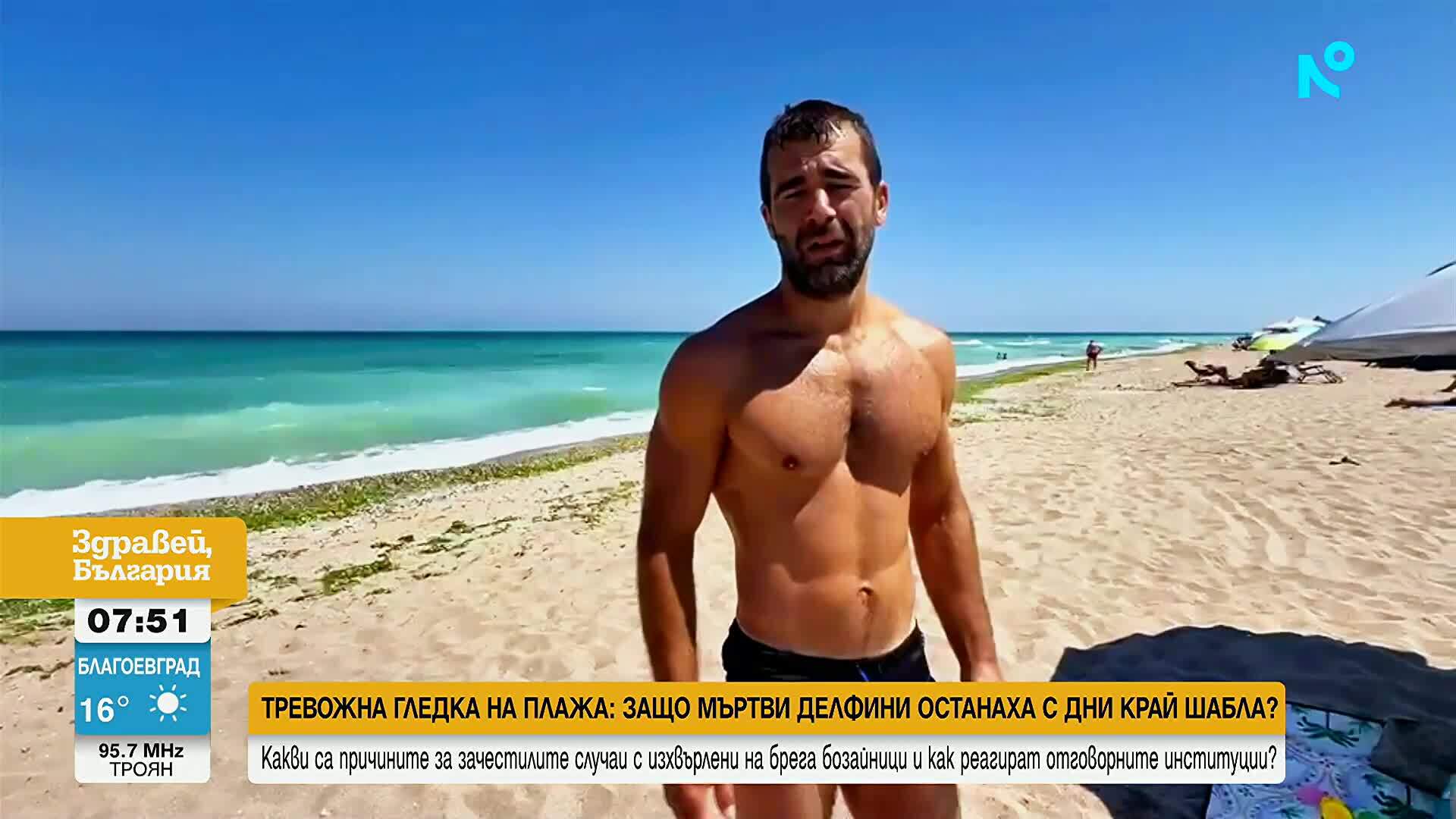 Тревожна гледка на плажа: Мъртви делфини останаха с дни край Шабла