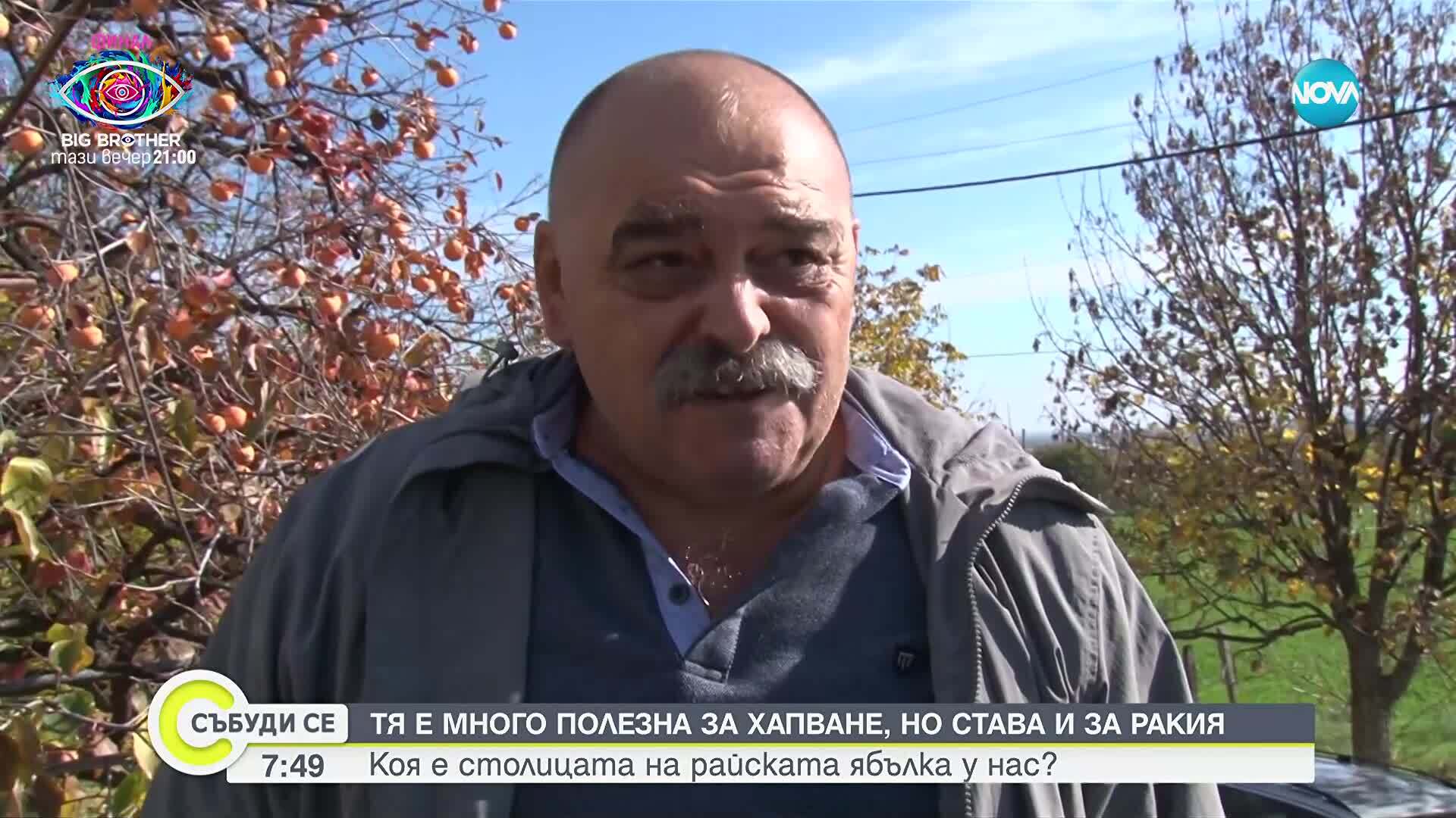 Хрищени - столицата на "оранжевия супер плод"
