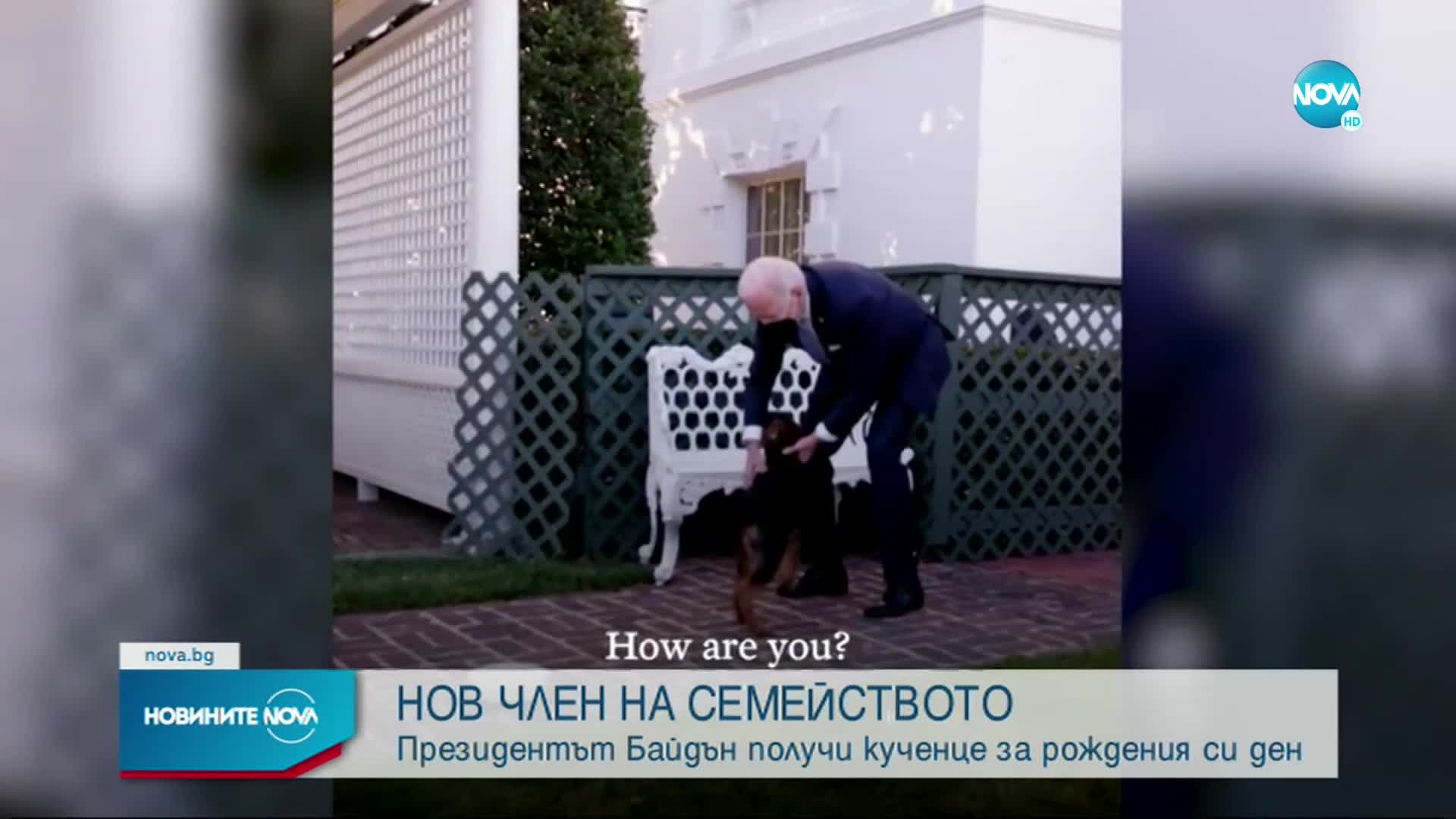 Байдън получи кученце за рождения си ден