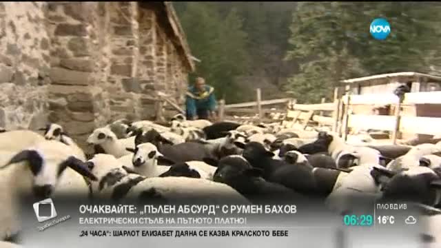 Проверки по магазините преди Гергьовден