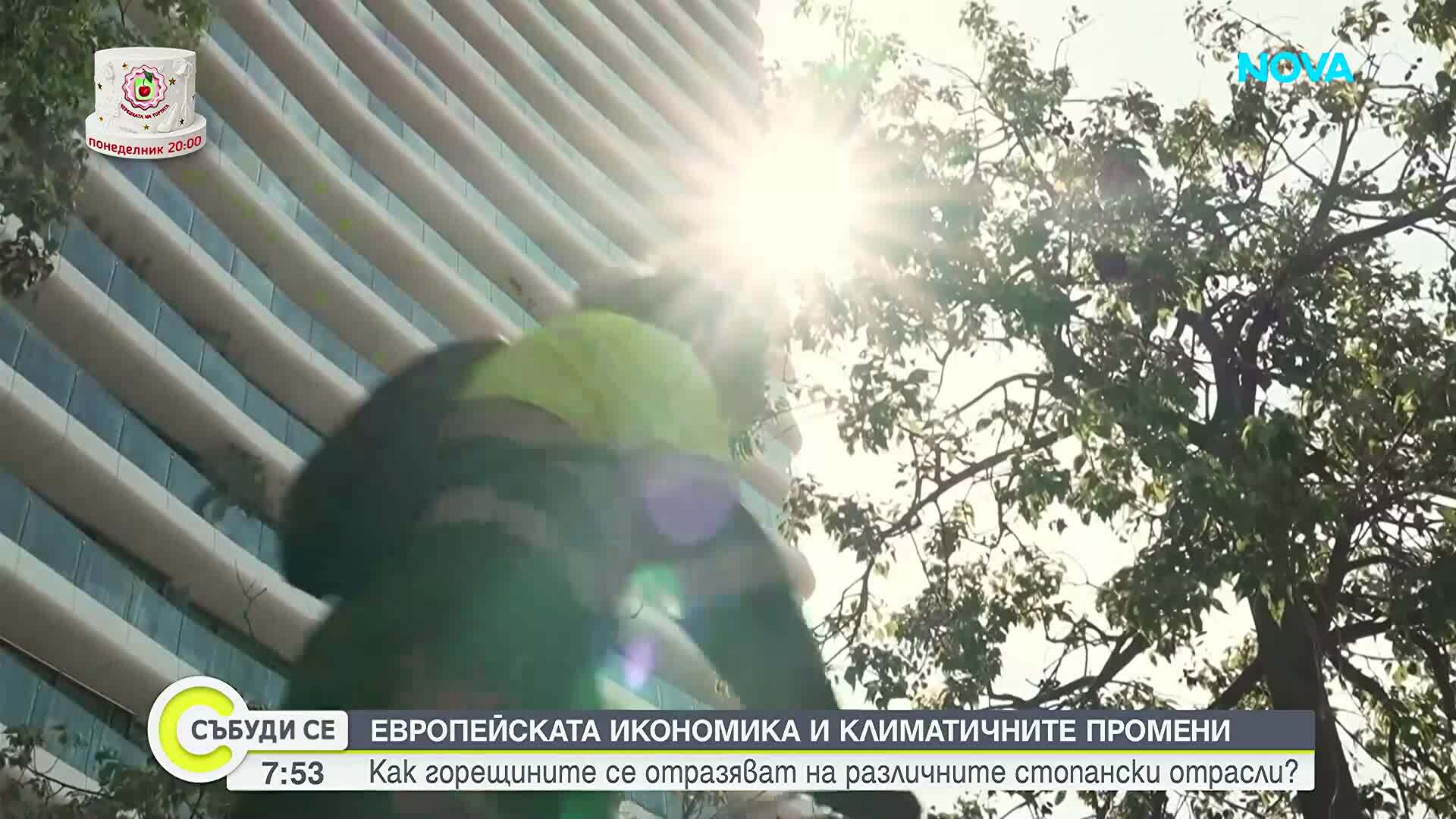Как горещините се отразяват на различните стопански отрасли