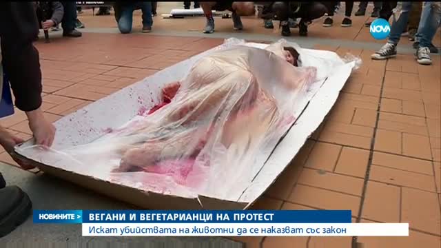 Новините на Нова (21.06.2016 - обедна)