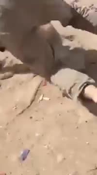 Хубаво е да можеш добре да стреляш, но трябва да можеш добре и да бягаш!
