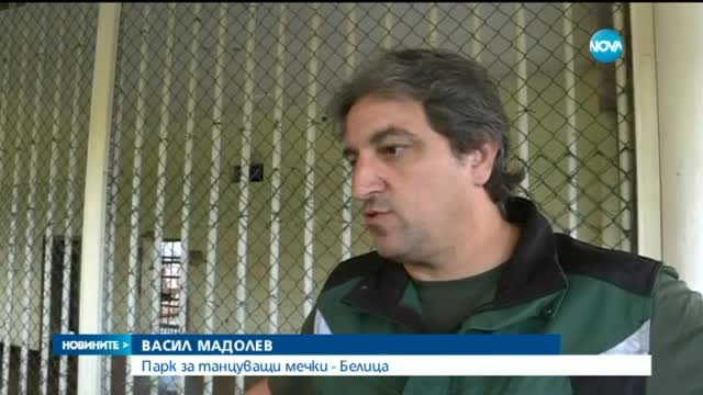 МИСИЯ: Български екип спасява мечки в Албания (СНИМКИ)