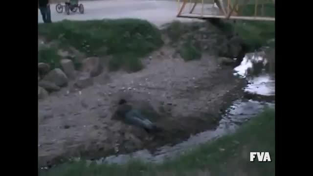 топ 10 най брутални пребиваня за 2010 ! много смях 
