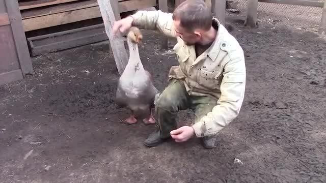 Необичайно Приятелство !..