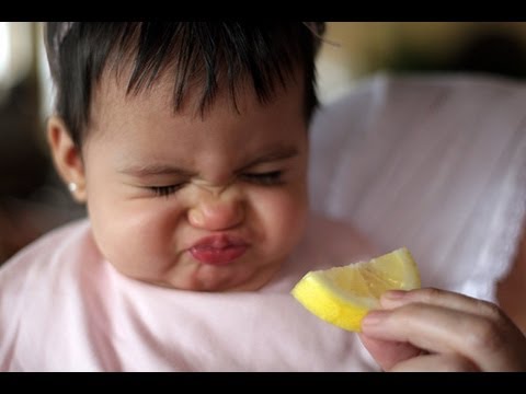 baby eating lemons